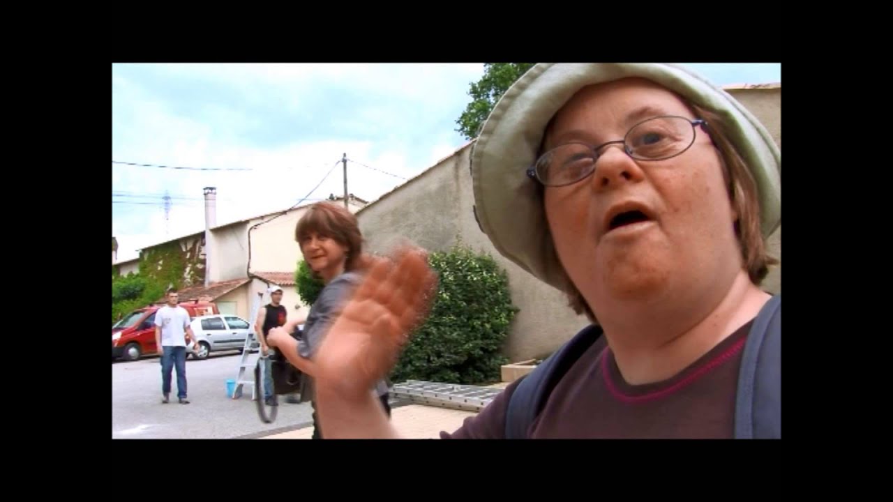 JT 20 H TF1 + FILM CAT LA JOUVENE - Apei d'Avignon