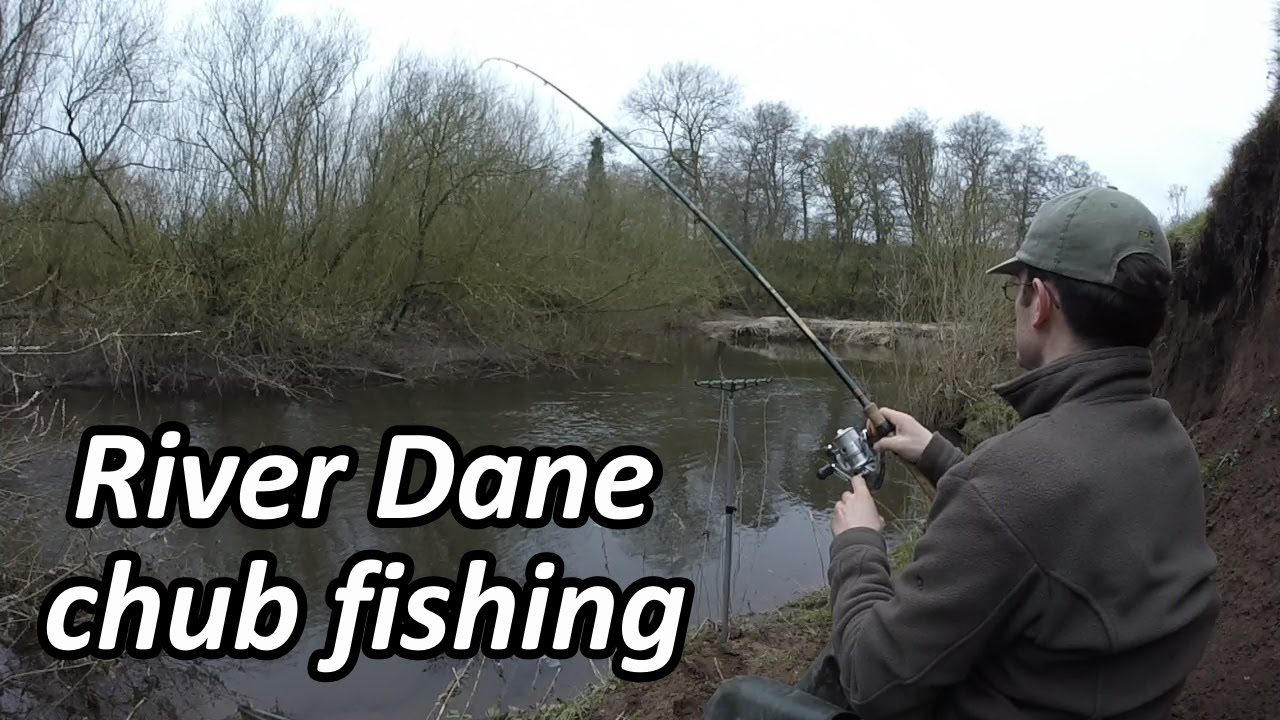 River Dane chub fishing