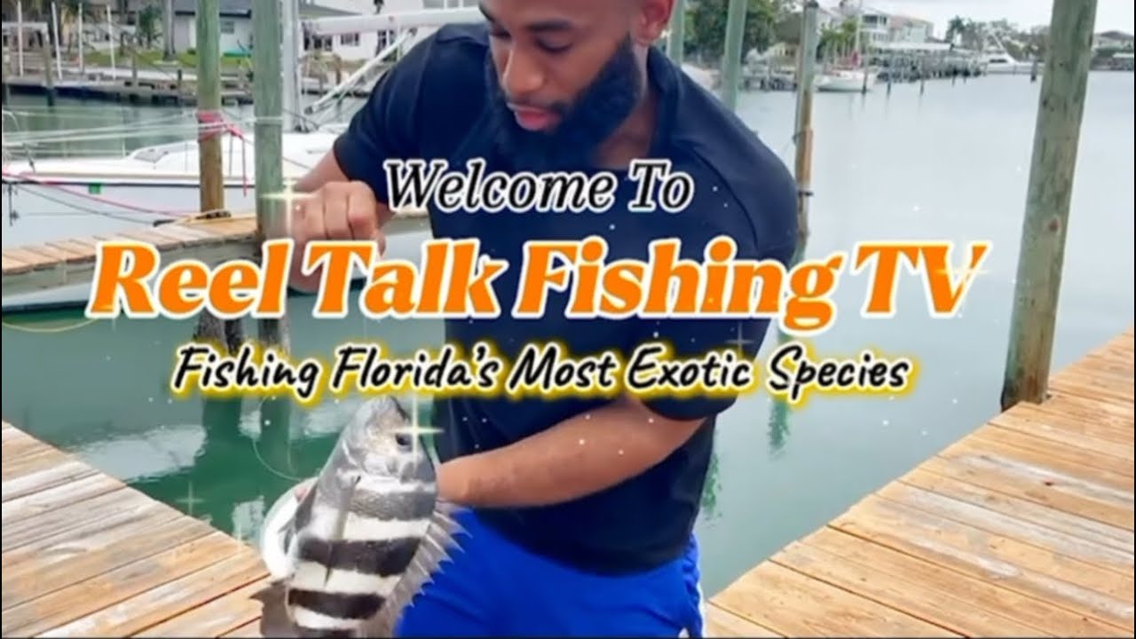 48 Hours of Winter Fishing in Florida:The Reel Way! #reeltalkfishingtv #floridafishing #stpetersburg