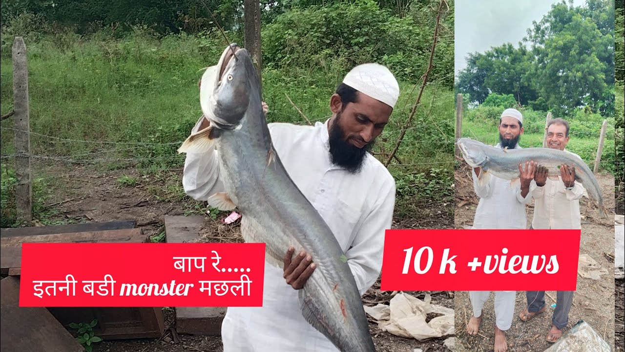 10 kg monster padin wallago Monster ko aise bahar nikale