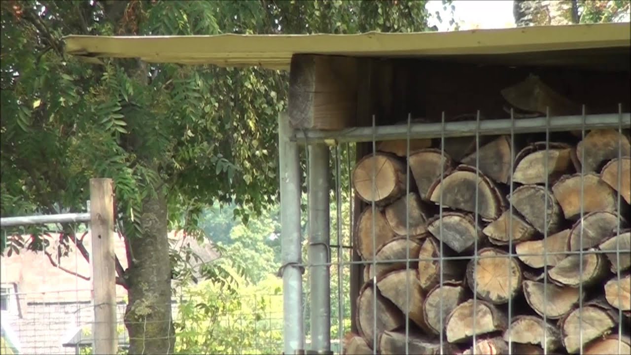 Boomkruiper en nestelen...