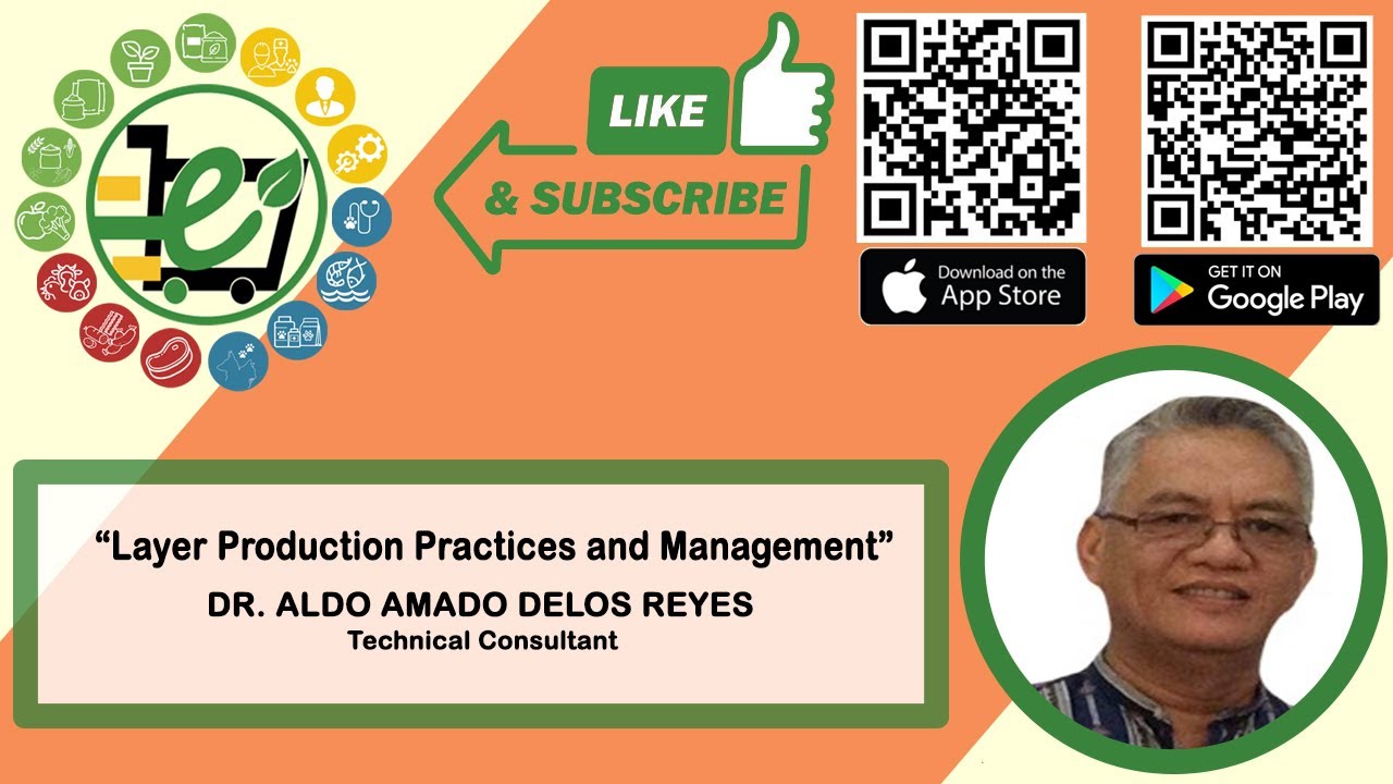 Layer Production and Management