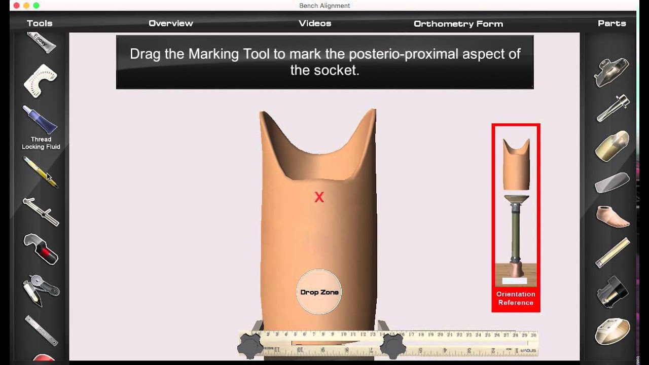 Prosthetic Bench Alignment Interactive CBT - college course
