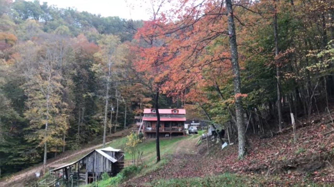 Fall In Appalachia. Digging Sweet Potatoes and Gathering Corn