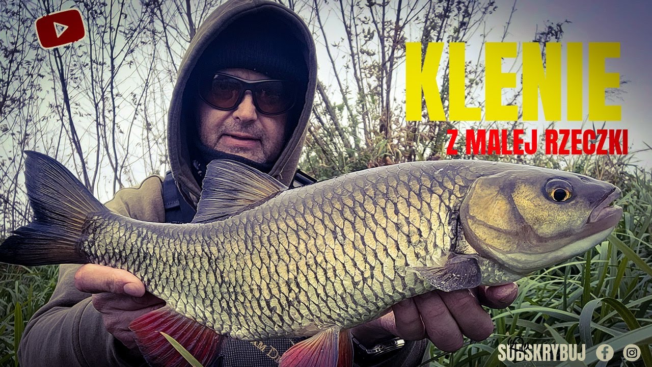 KLENIE I JAZIE NA SPINNING / BIORĄ CAŁY CZAS !!!