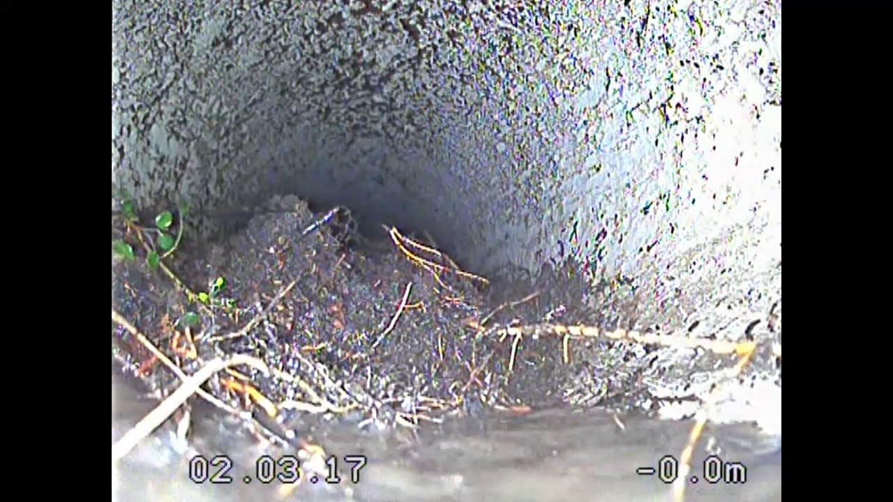 Rootax nozzle in 300mm drain