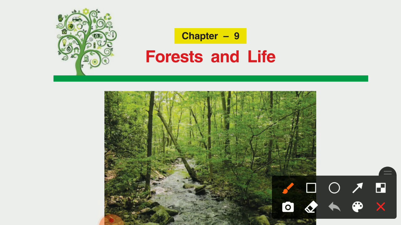 Class-5th EVS Chapter-9 Forests and Life (Summary)