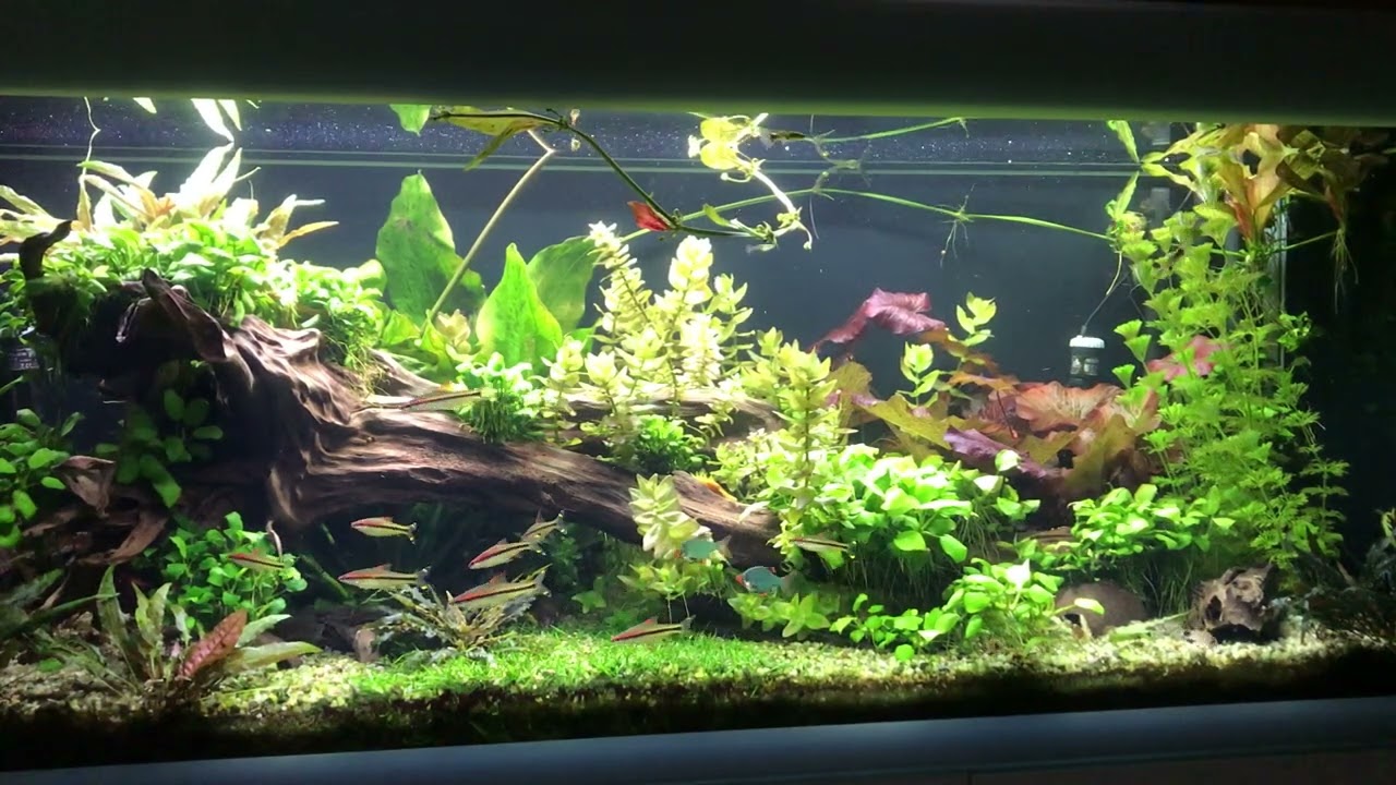 125 - Aktualizacja po długiej nieobecności.