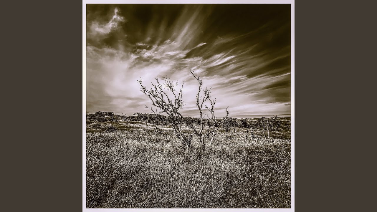 Wind & Sturm