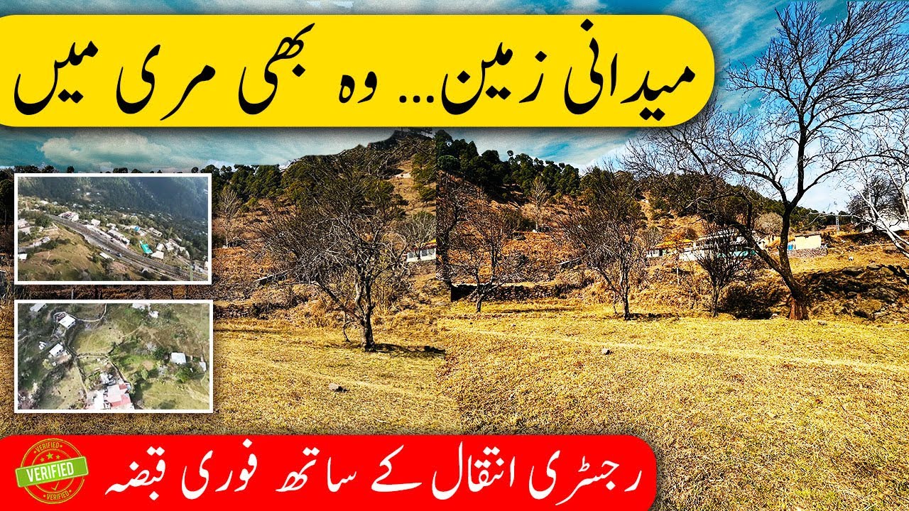 🔥 Murree Musyari 1.5 Kanal Prime Land | 3 Min from Expressway | Urgent Sale!