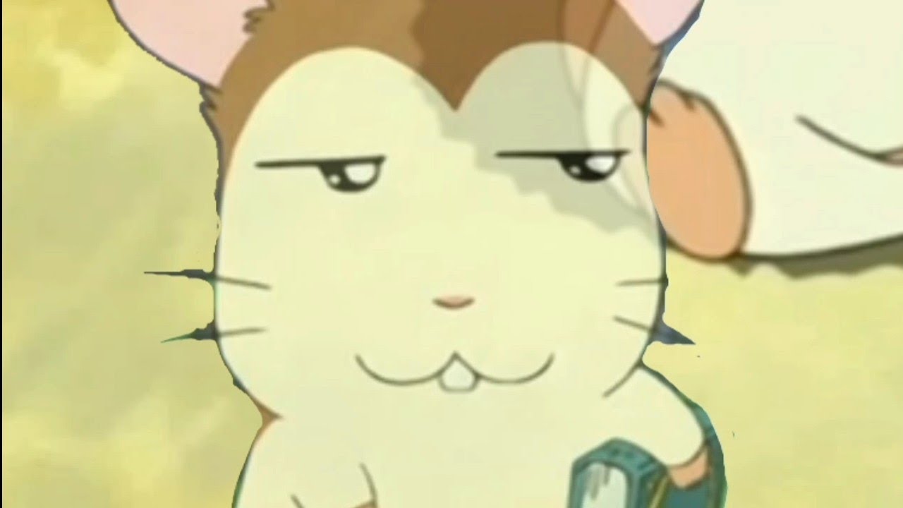 YTPH - Las bellas patas de Hamtaro