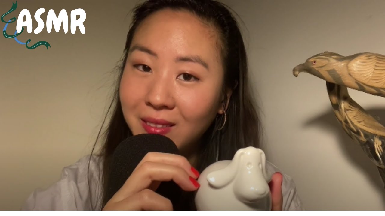 J’examine ton ANIMAL ~ Rôleplay médecin Vétérinaire Asmr Français #4