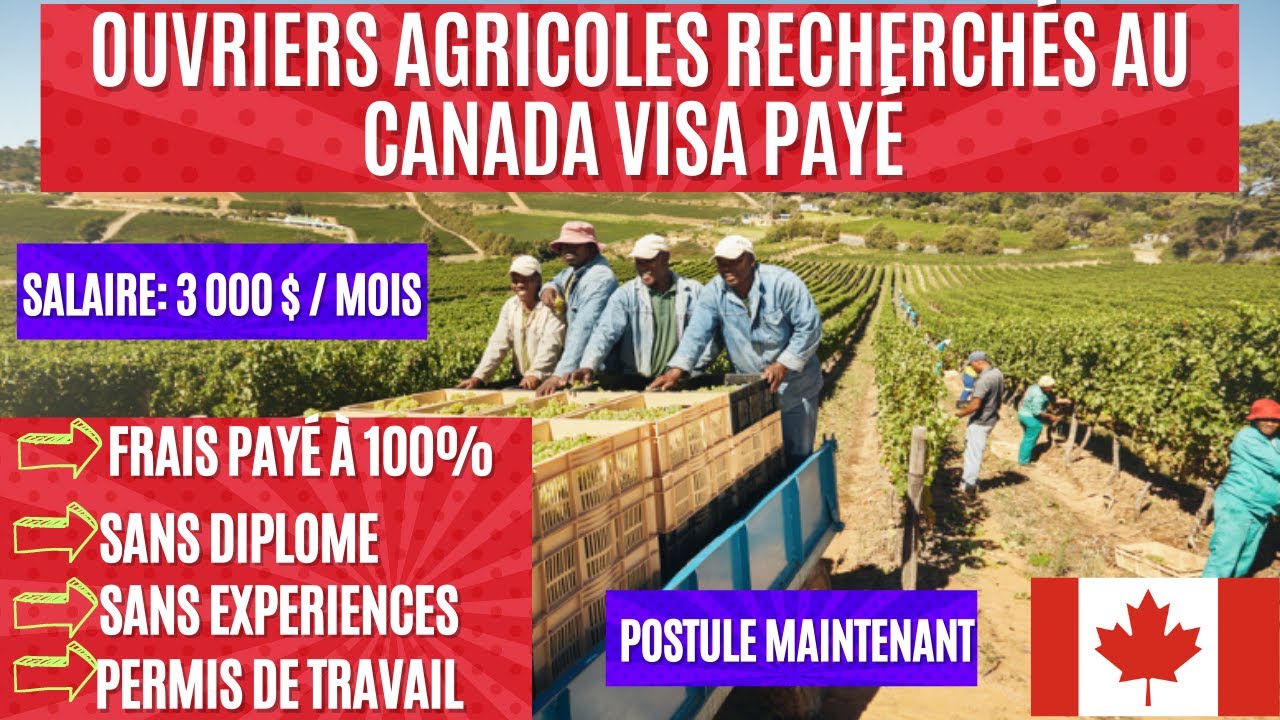 Ouvriers agricoles au Canada avec visa gratuit en 2023, Aucune formation, aucune expérience