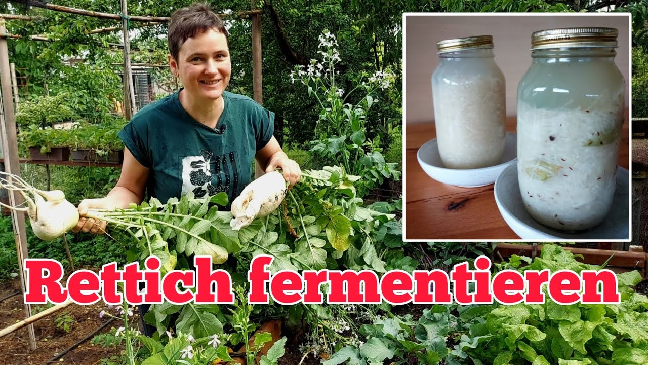 Fermentieren ohne Gärtopf | Rettich mit Sauerkraut Methode haltbar machen | ganz einfach erklärt