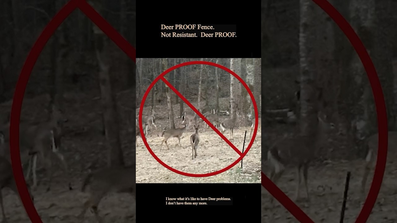 Deer PROOF Fence - 100% effective and easy to build. #supportveterans