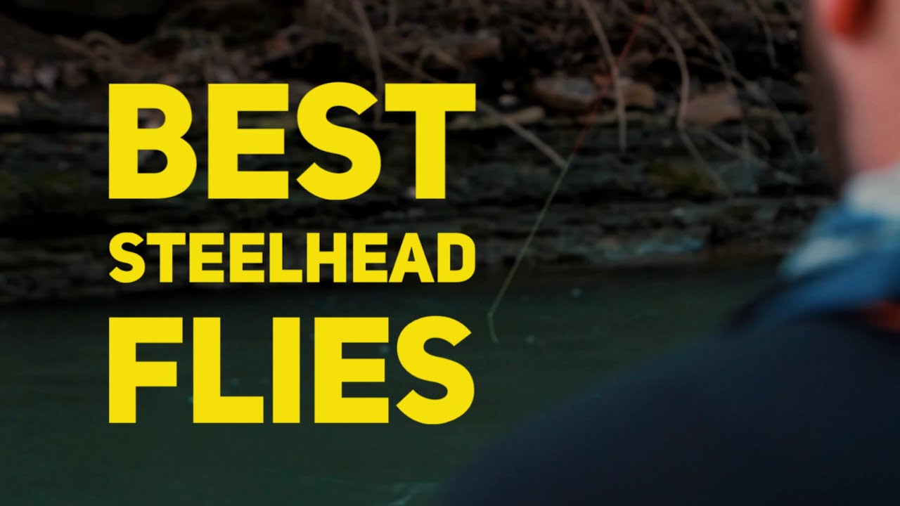 TOP 3 BEST Steelhead Flies for Fly Fishing the Great Lakes