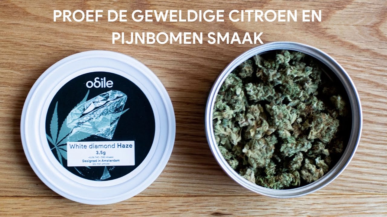 CBD Bloem White Diamond Haze van odile.green