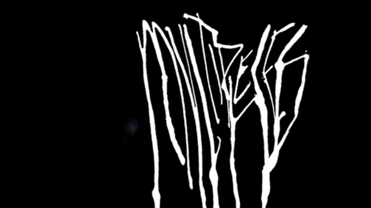 Multiple Pieces - Carpet Teeth
