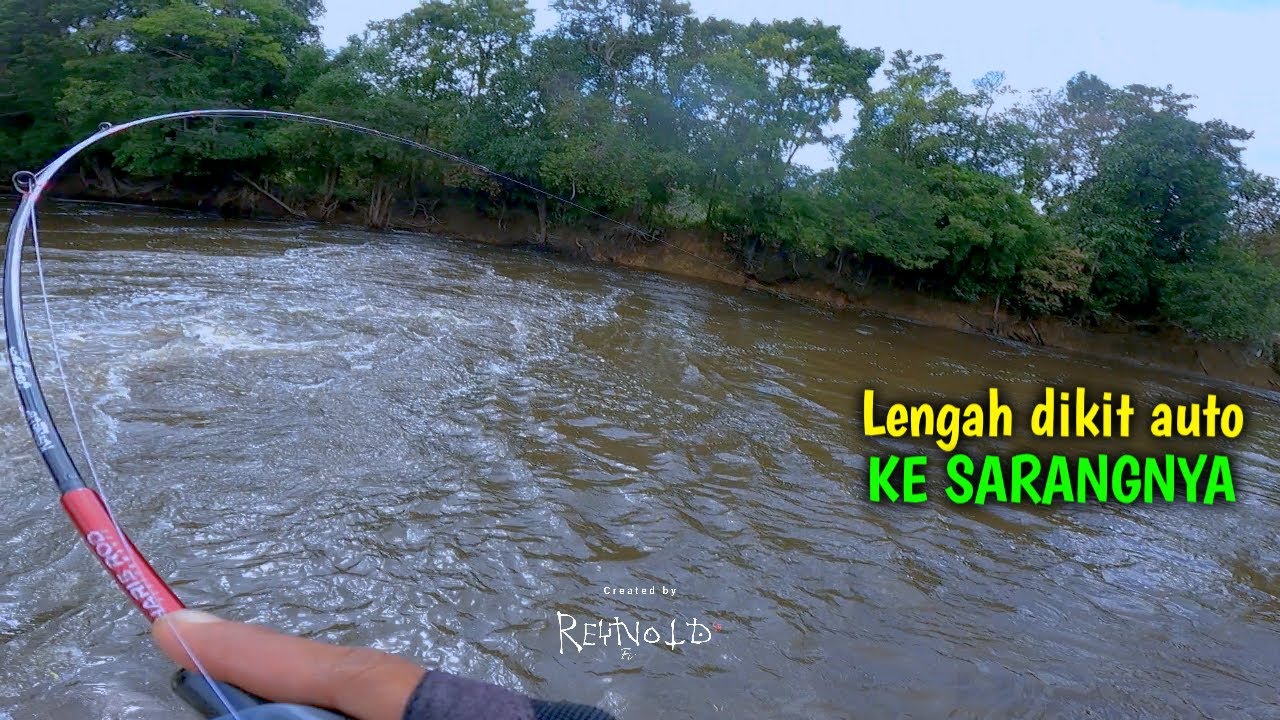 KENDOR DIKIT LANGSUNG KE SARANG | HAMPALA RUNGUN. Reynold sb fishing trip 31/08/2025
