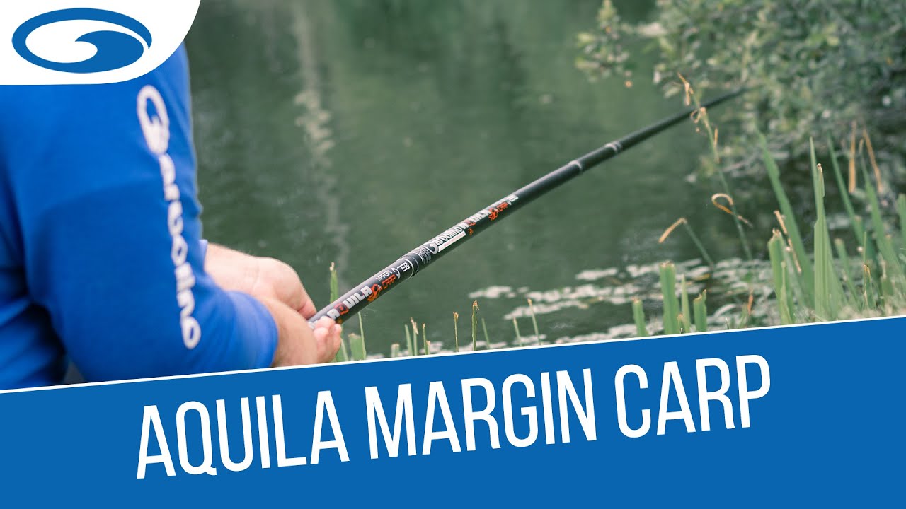 GARBOLINO AQUILA MARGIN CARP - Canne carpe au coup pour la pêche en bordure