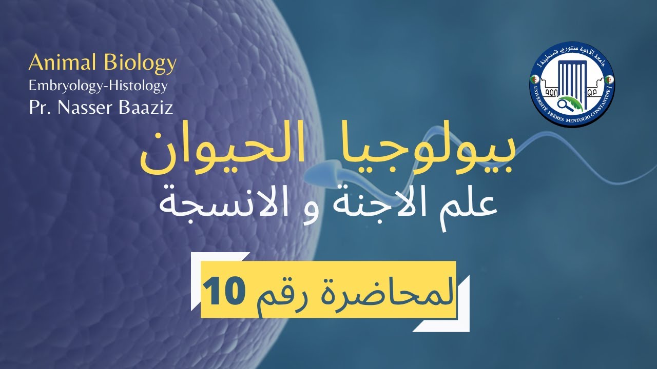 المحاضرة رقم 10 في مادة بيولوجيا الحيوان لطلبة السنة اولى ل.م.دLecture 10in Animal Biology
