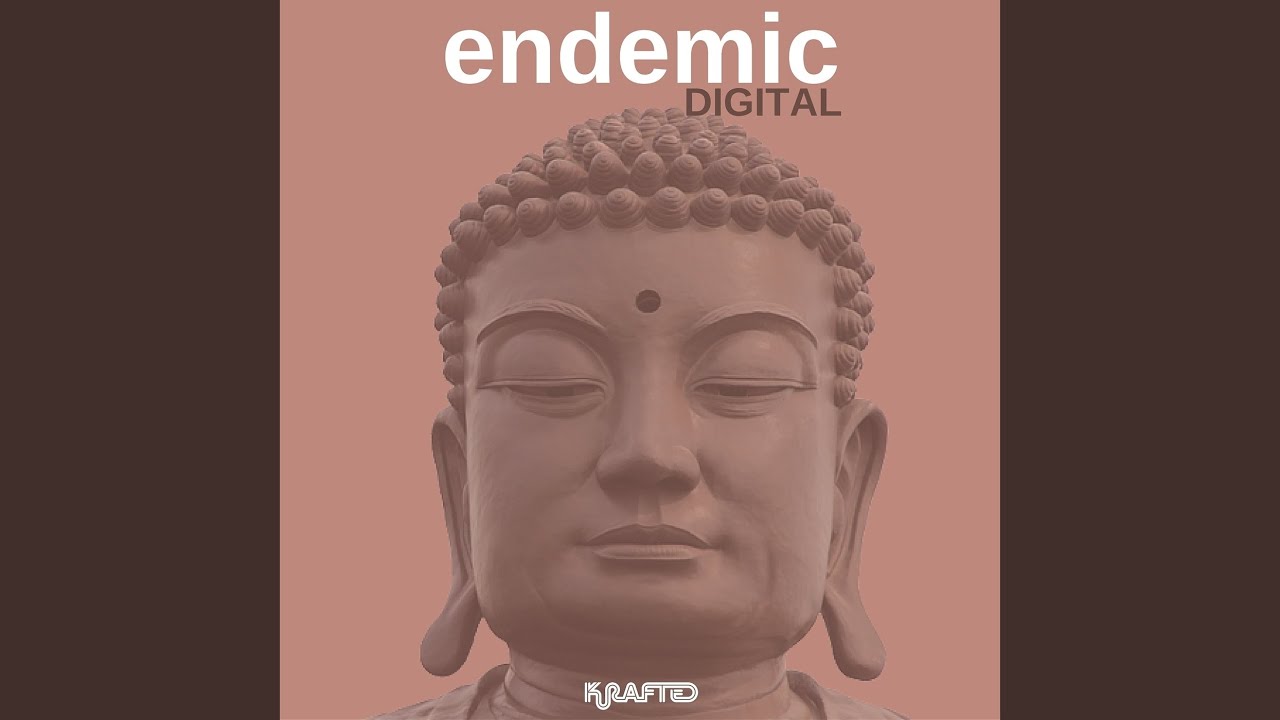 Warming Up (Analog Effekt Remix)