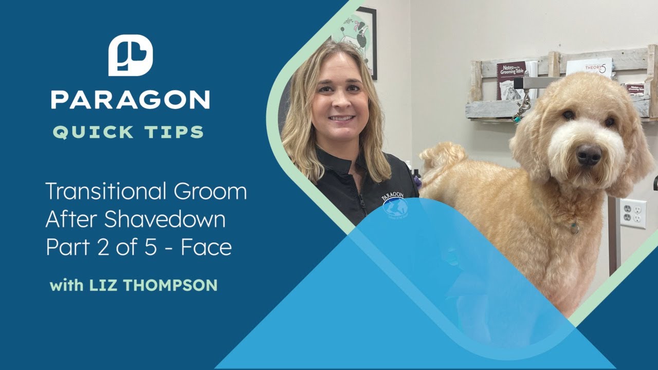 Quick Tips: Transitional Groom After Shavedown Part 2 of 5 - Face with Liz Thompson