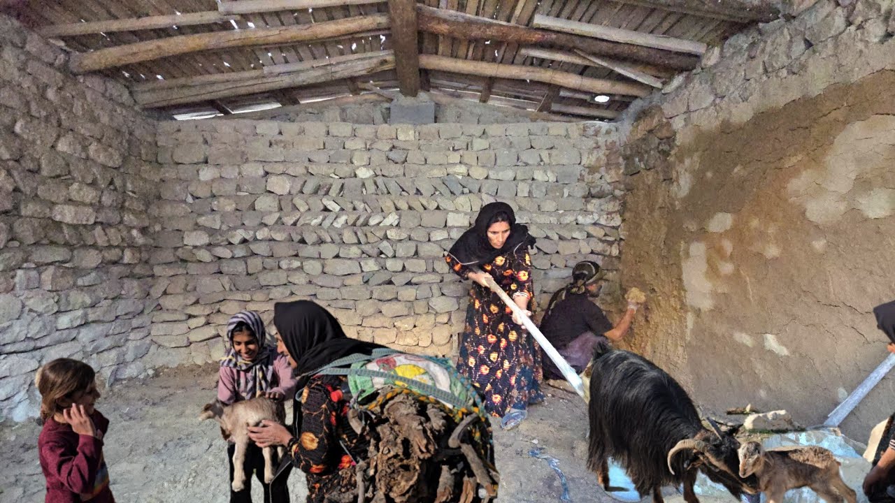 Daily life of nomads in real nomadism | Plaster with straw Girls' joy at seeing a newborn goat