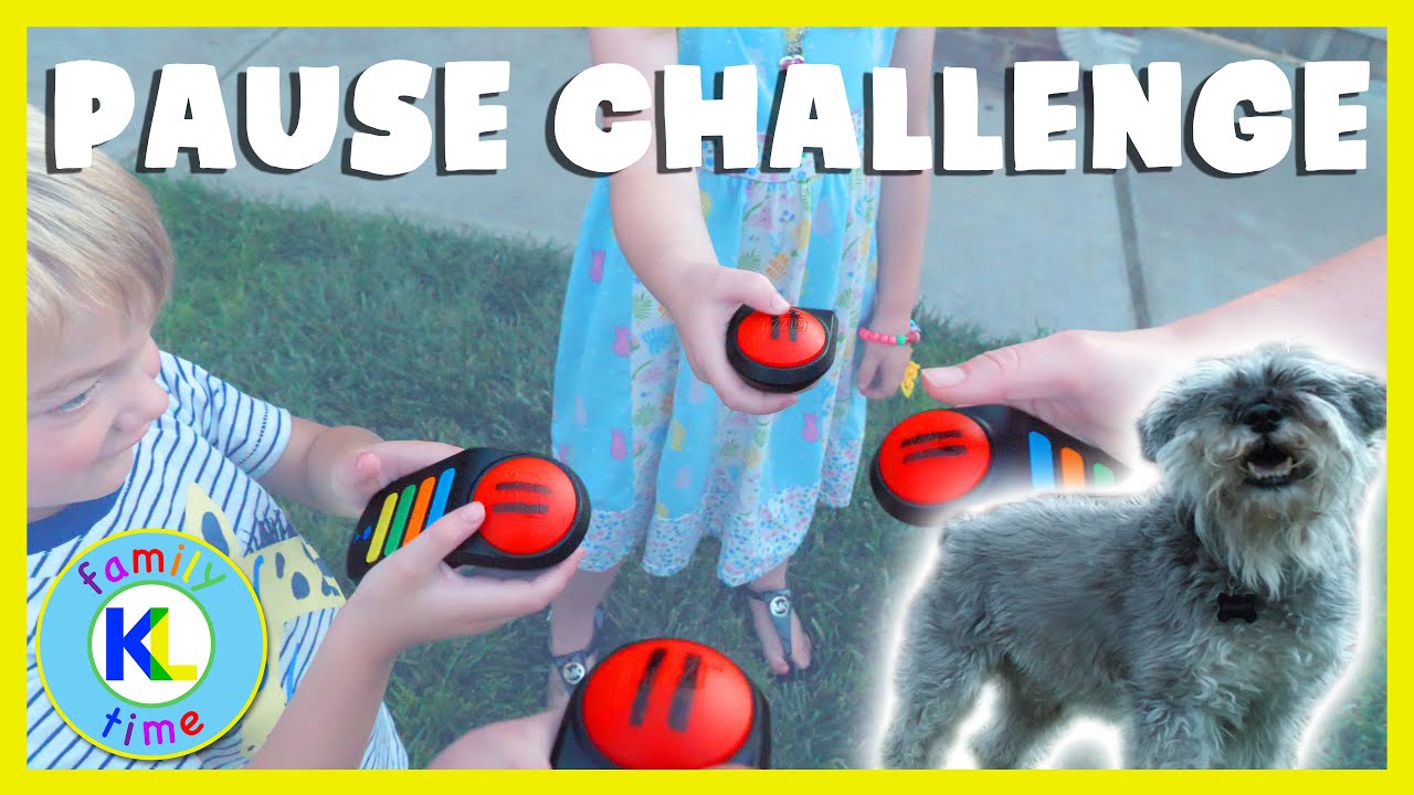 PAUSE CHALLENGE with 4 remotes AND A DOG!