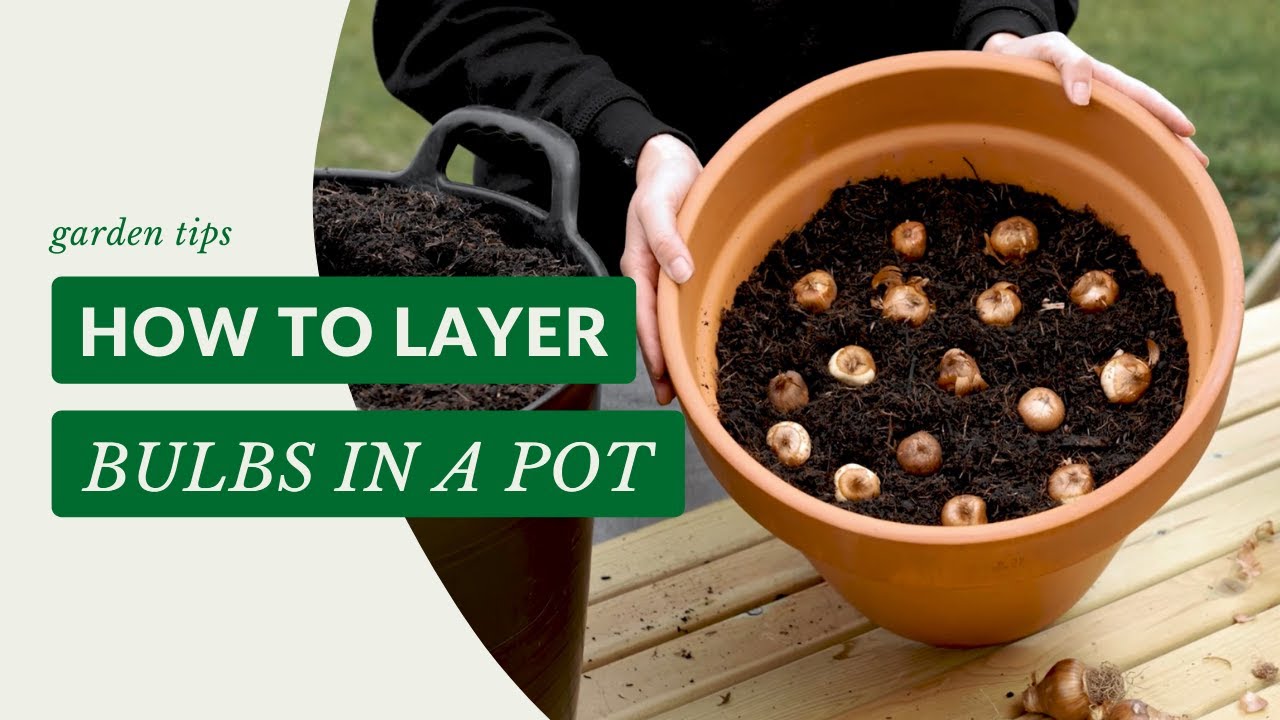 Bulb Lasagne Tutorial - How To Layer Bulbs In a Pot | Gardening Tips with J. Parker's