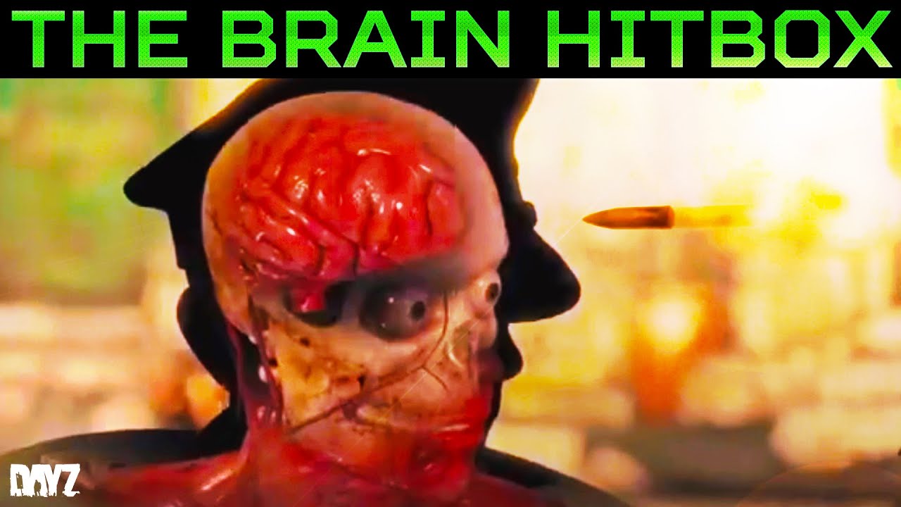 How to boost damage against players in DayZ | Hitbox Damage Guide
