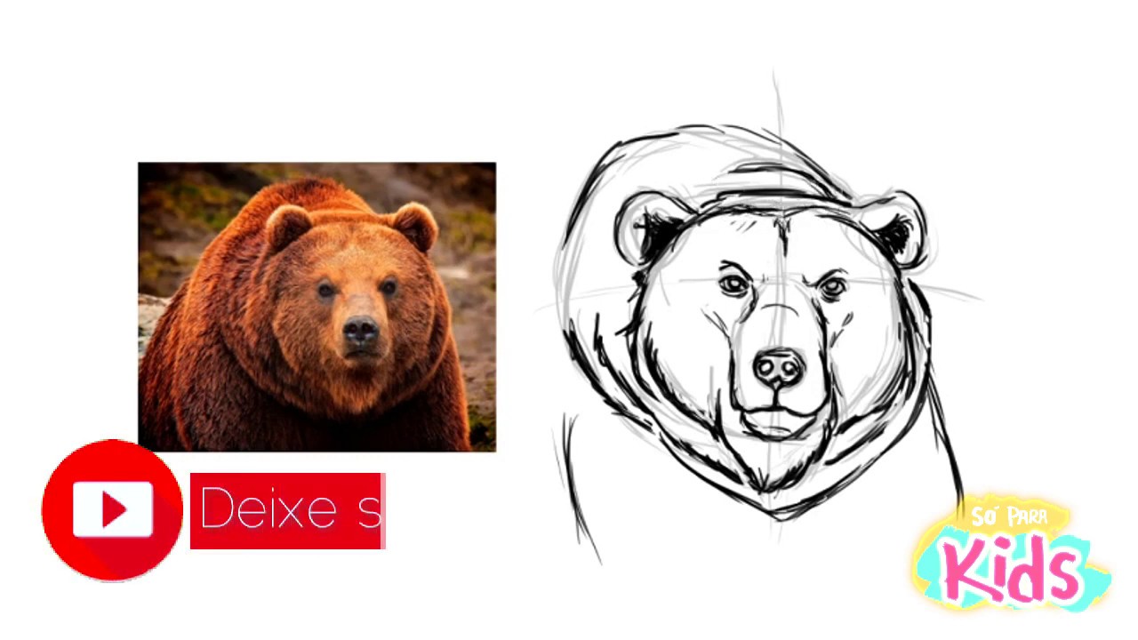 Como Desenhar um Urso 🐻✅ 𝗔𝗚𝗢𝗥𝗔! GARANTIDO & Super Fácil - Cara do Urso 🆙