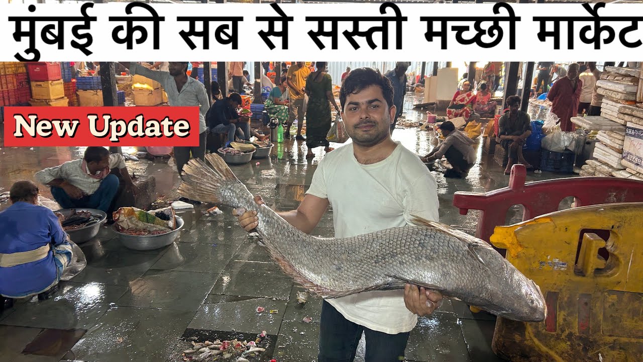 Cst fish market Mumbai 2025|| wholesale fish market Mumbai cst || Mumbai fish market @QBRVLOGS