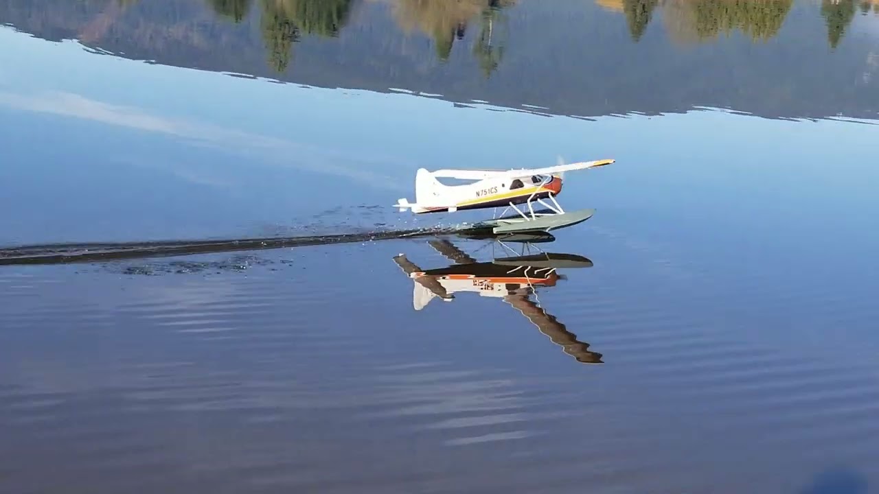 Mike S's Flyzone Beaver 