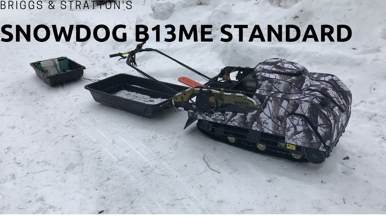 SNOWDOG B13ME Standard by Briggs & Stratton Overview