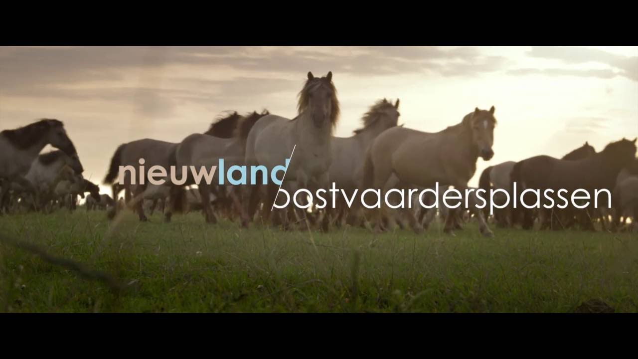 Nieuwland Nationaal park