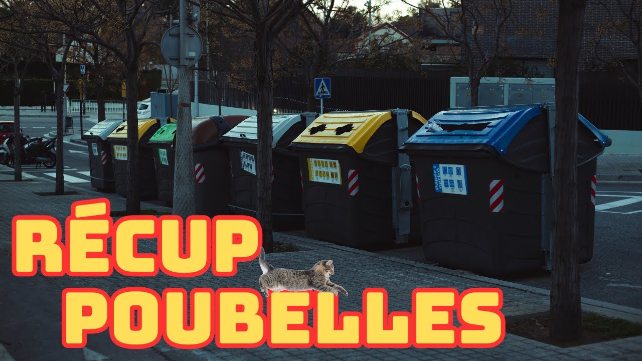 Récupération sympathique dans les poubelles 🐱
