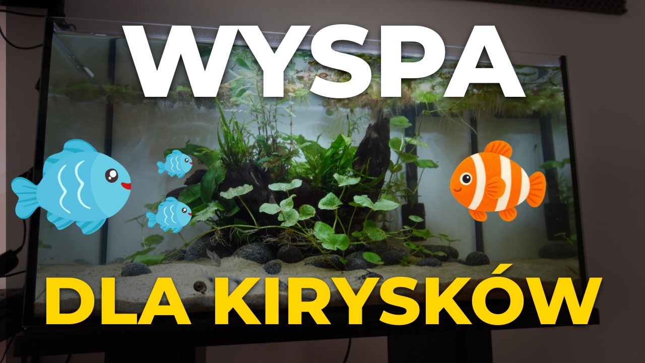 PIĘKNE AKWARIUM DLA KIRYSK&Oacute;W | Tanie i proste! | Motyw wyspy z AI | Poradnik Krok Po Kroku