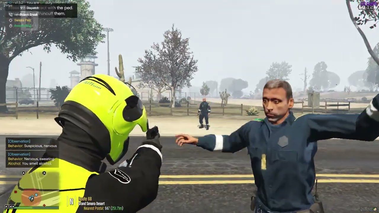 EES FivePD   Realistisk RP