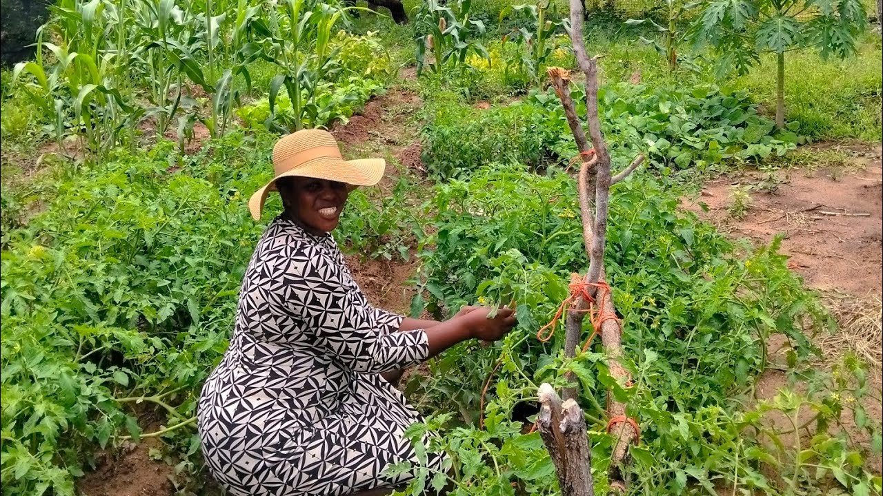 Spend a day with me in my garden #life in Zimbabwe 