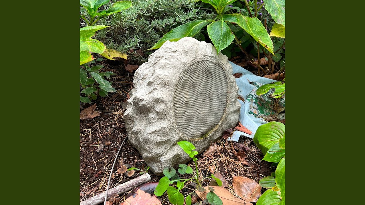 Jellyfish Skull