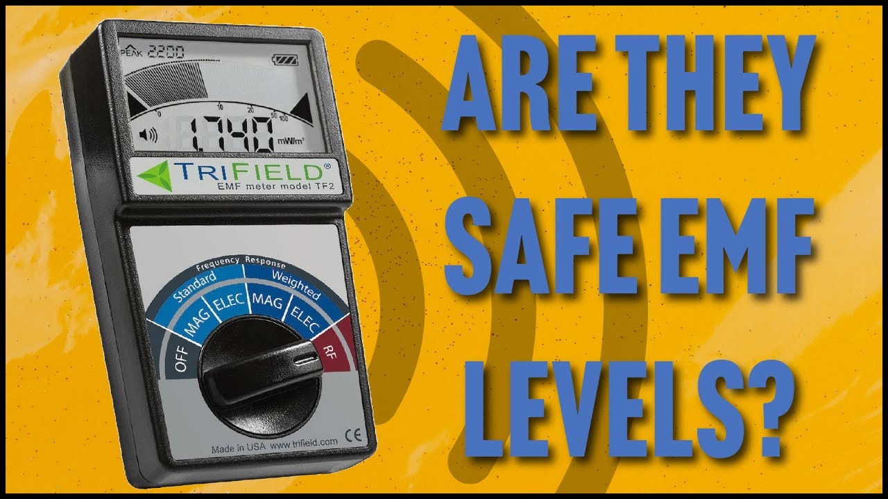 This Sauna Sets the Standard for EMF Safety