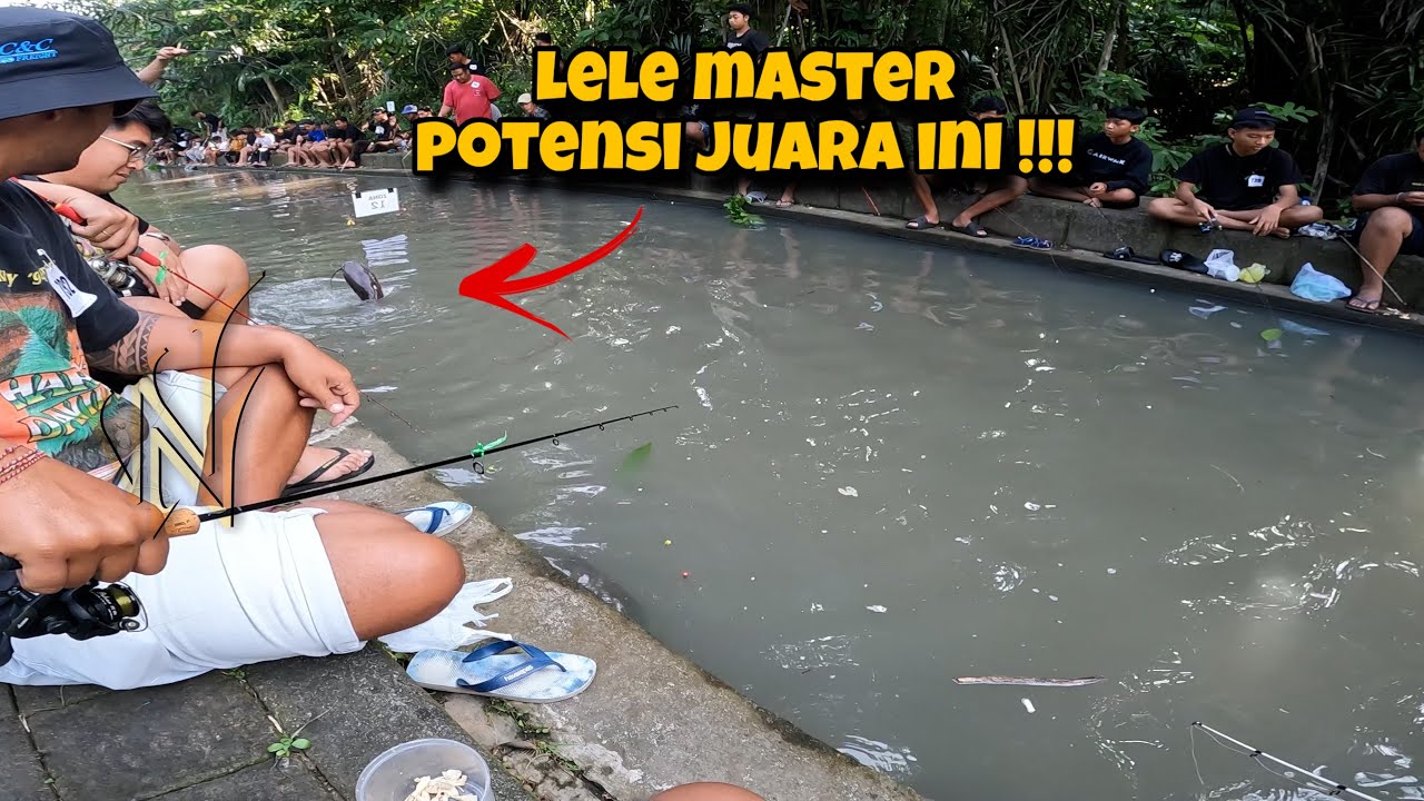 ‼️BANYAK KEJUTAN‼️ LOMBA LELE KALI INI SIZE NYA CUKUP BESAR-BESAR