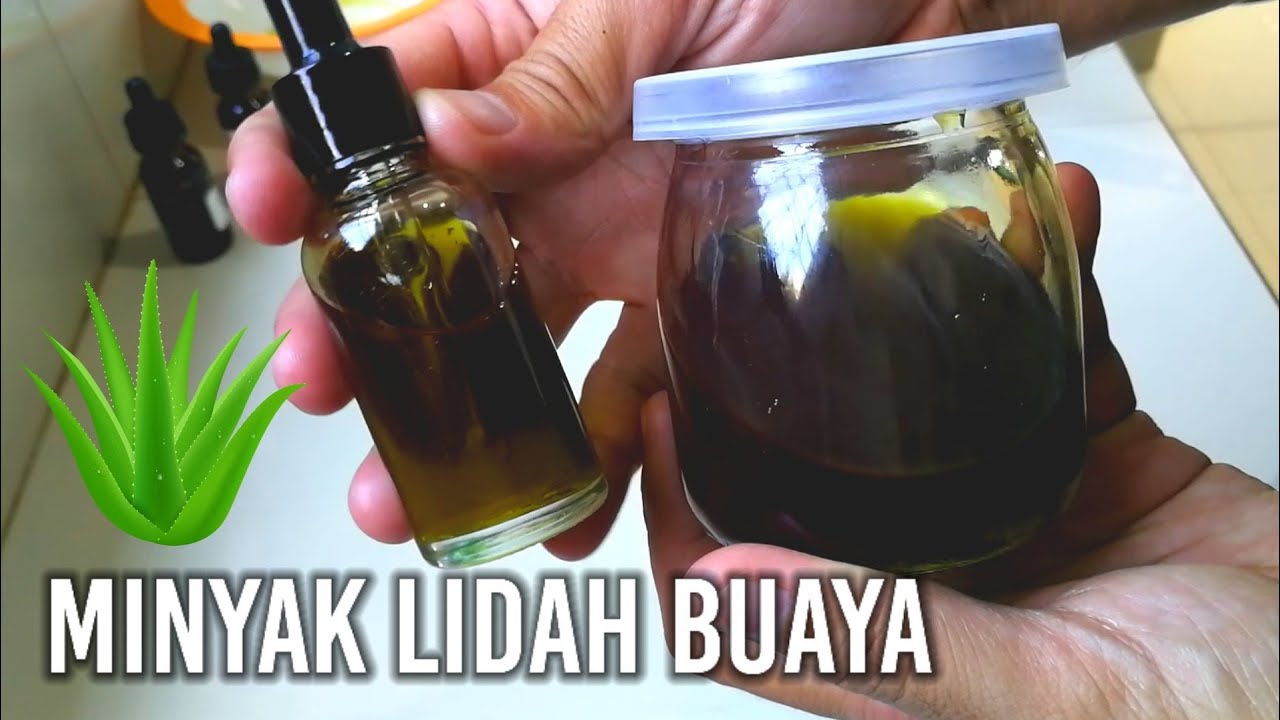 DIY Cara membuat minyak lidah buaya, melembapkan kulit dan menyuburkan rambut secara alami (Cara2).