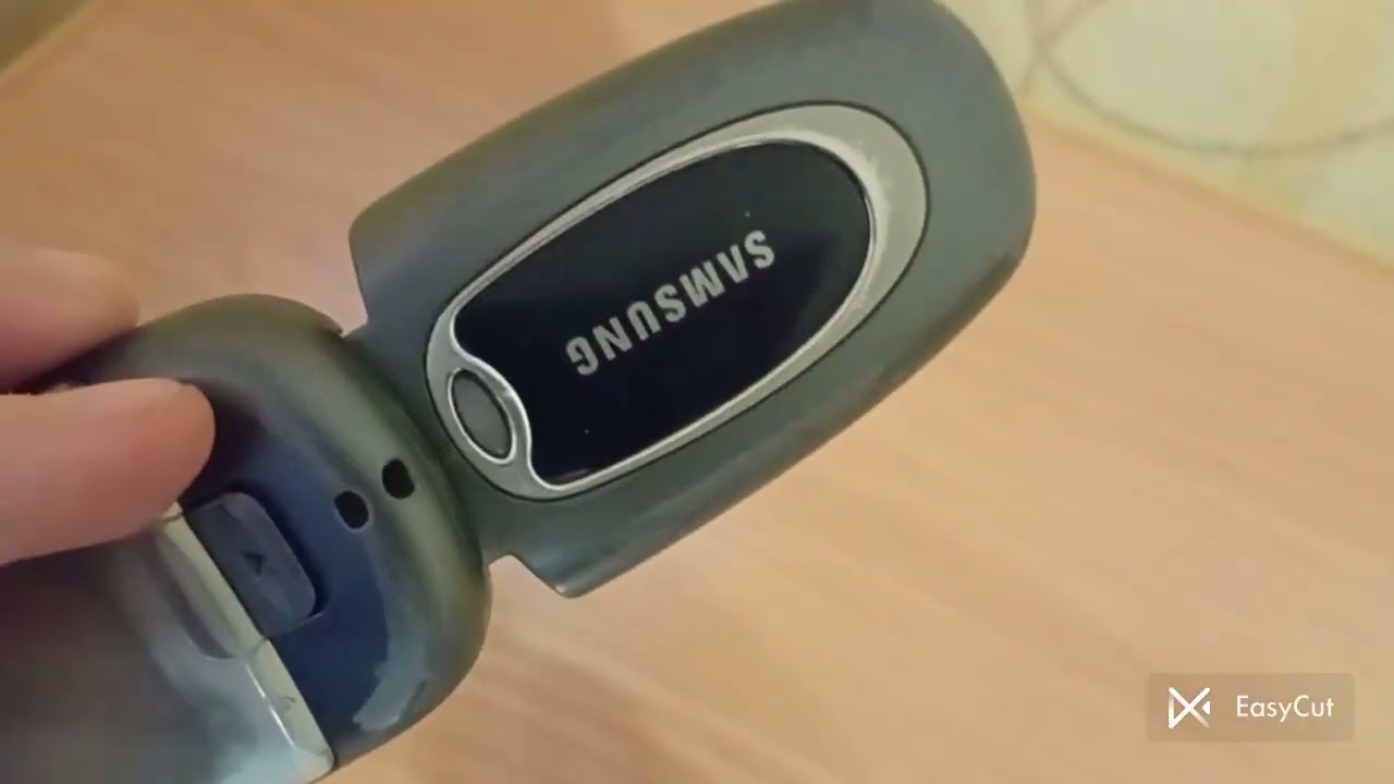 Samsung SGH x480 обзор