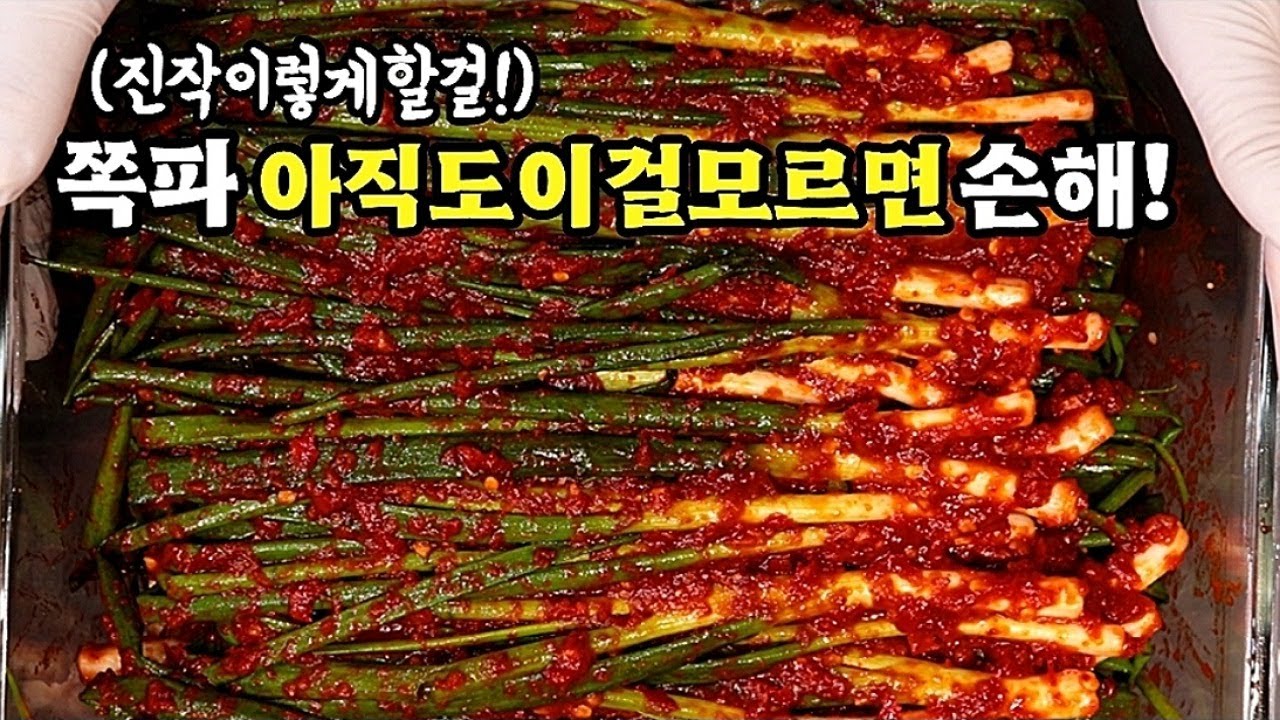 💥김치신생아도 성공하는 