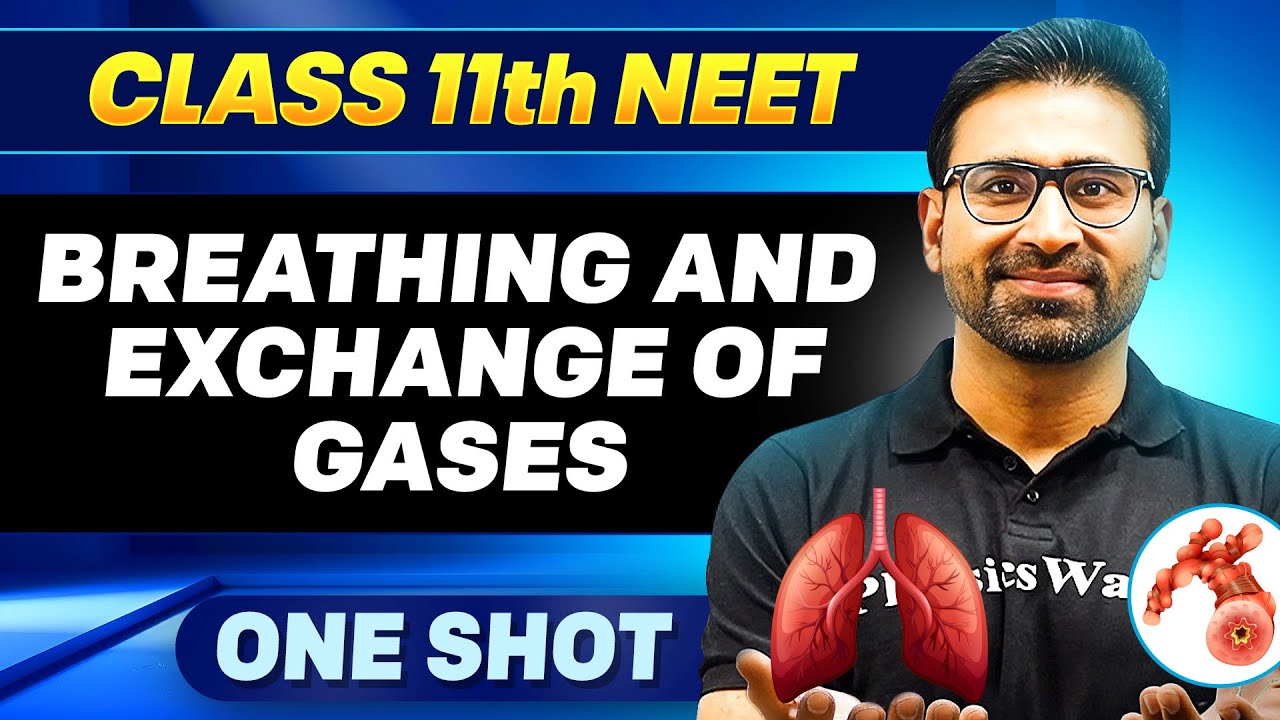 BREATHING & EXCHANGE OF GASES in ONE SHOT || All Concepts, Tricks & PYQ || Ummeed NEET