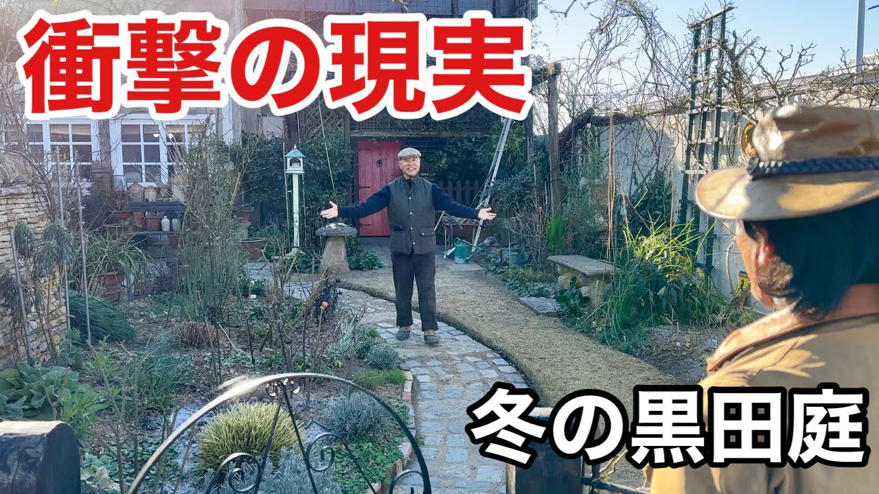 【必見の冬作業】憧れの庭はこのようにできます　      【カーメン君】【黒田庭】