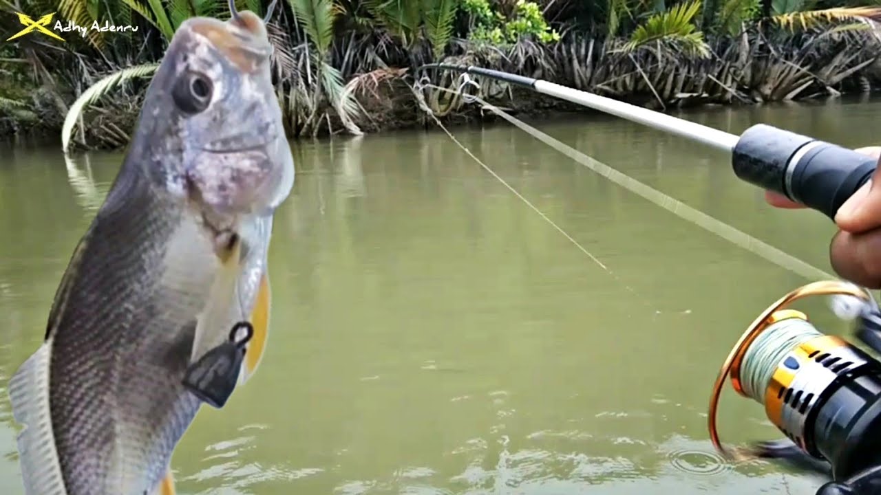 MANCING MUARA DI SERBU IKAN GULAMA