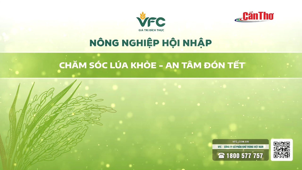 [🔴Live] Chăm sóc lúa khỏe - An tâm đón Tết | VFC - Nông nghiệp hội nhập | NNST